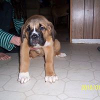 Marty Farris Photo 14