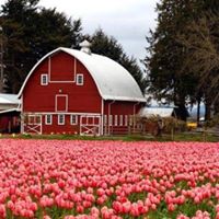 Laura Burroughs Photo 13