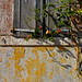 Ada Walls Photo 10