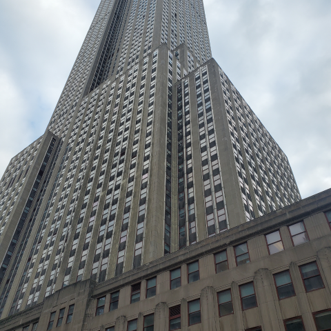 Latonya Johnson Photo 24