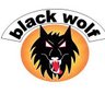 Carl Wolf Photo 10