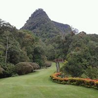 Janice Tsai Photo 18