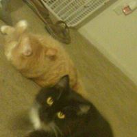 Victoria Oliver Photo 12