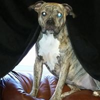 Diane Fallon Photo 23