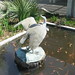 Catherine Ferrell Photo 9