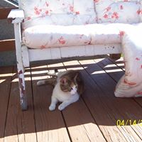 Nancy Stevens Photo 44