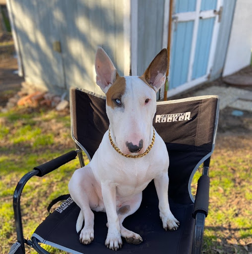 Mark Garcia Photo 51