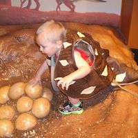 Beth Maynard Photo 24 Beth Maynard Photo 24