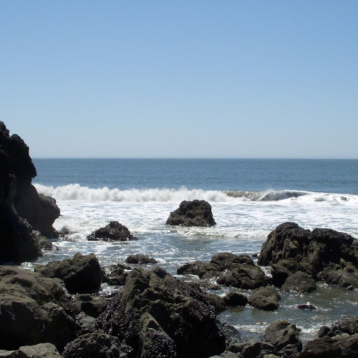 Joann Weiner Photo 6