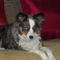 Michael Kendall Photo 44