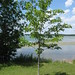 Richard Maples Photo 16