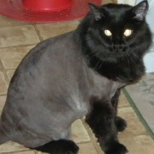 Ralph Bailey Photo 20