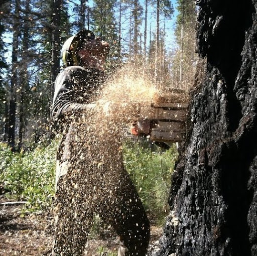 Chris Small Photo 37