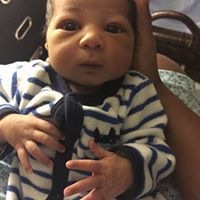 Stacy Colbert Photo 14