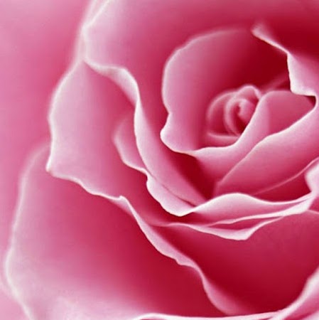 Brenda Weber Photo 33