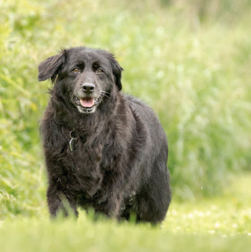 Michelle Osborne Photo 31