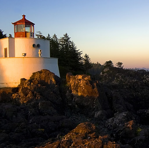 Anne O'Connell Photo 12