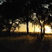 Janice Dyer Photo 15