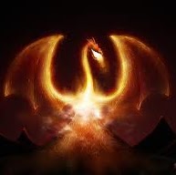 Darryl Jacob Photo 16