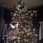 Margie Staggs Photo 8