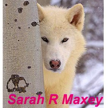 Sarah Maxey Photo 6