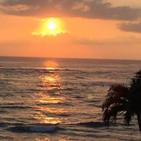 Kimberly Severson Photo 13 Kimberly Severson Photo 13