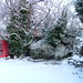 Dennis Rhodes Photo 17