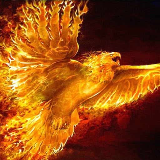 Dwain Walker Photo 5