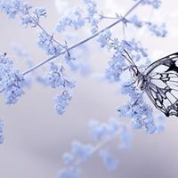 Jin Hao Photo 2