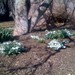 Jeannie Bloom Photo 3
