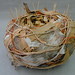 Elizabeth Peach Photo 16