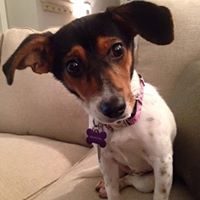 Deborah Duke Photo 14