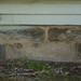 John Cowles Photo 28