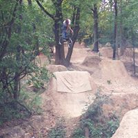 Scot Draper Photo 16