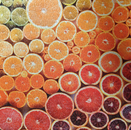 Aaron Rubin Photo 16