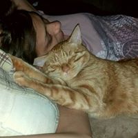 Jessica Northcutt Photo 7