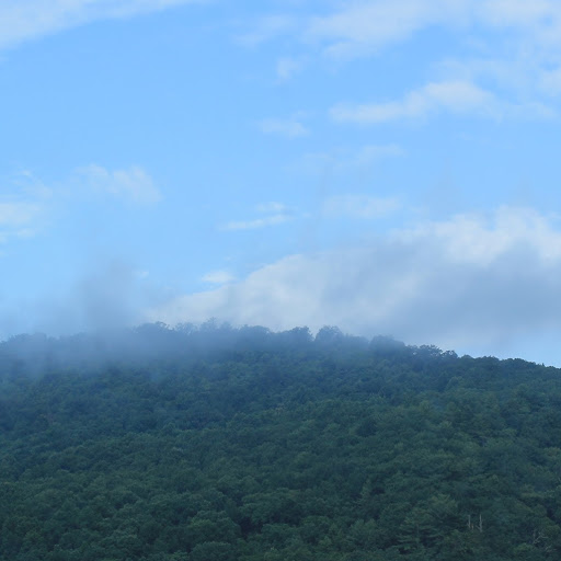 Aimee Rivera Photo 6