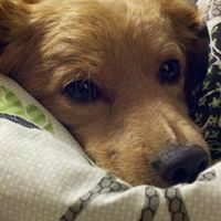 Jill Lawrence Photo 17