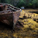 Samuel Land Photo 22