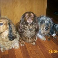 Ellen Miller Photo 21