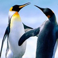 Sammie Daniels Photo 6