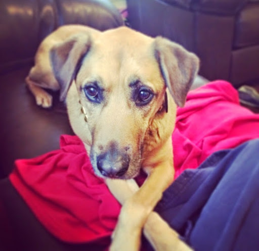 Katie Stapleton Photo 11