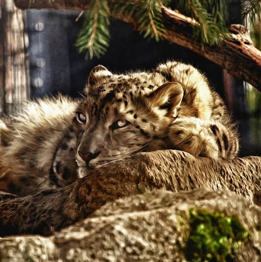 Leslie Jackson Photo 10