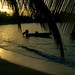 Rose Rios Photo 25
