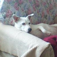 Mary Mueller Photo 22