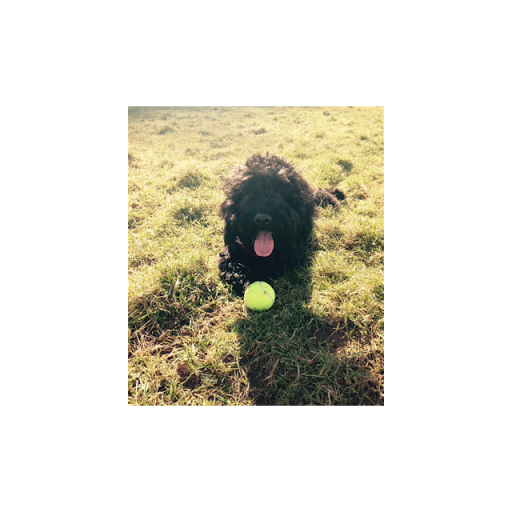 Jodie Cooper Photo 34