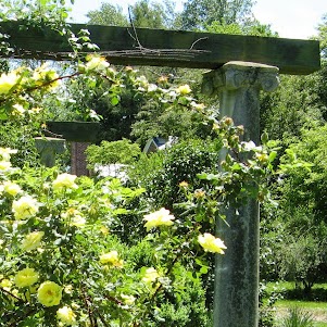 Janice Fox Photo 21