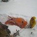 Ben Fredrick Photo 24
