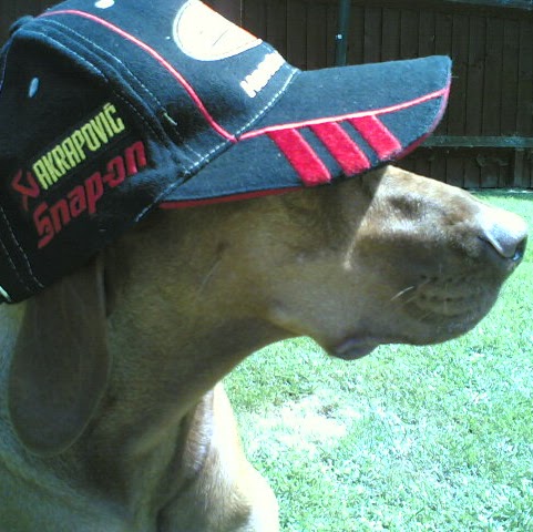 Daryl Carter Photo 31 Daryl Carter Photo 31