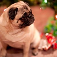 Jeanette Hurst Photo 19